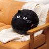 ベローチェ　黒ねこ
