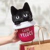 ベローチェ　黒ねこ